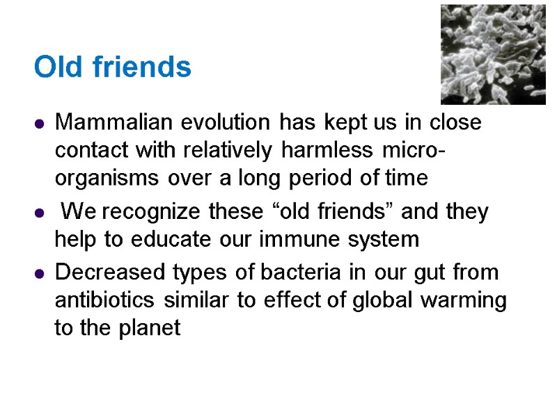 Old friends Mammalian evolution has kept us in close contact with relatively harmless micro-organisms